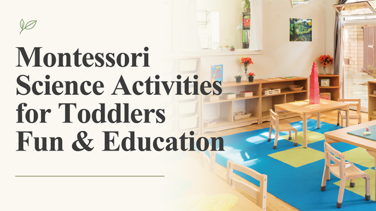 Montessori Science Activities for Toddlers Fun & Education