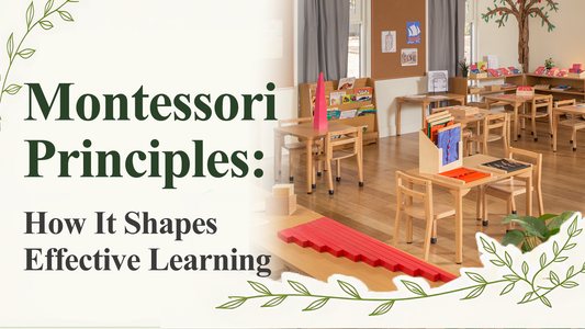 Montessori Principles