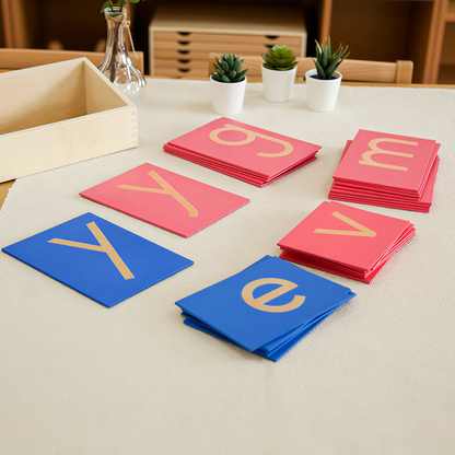 Lower Case Sandpaper Letters - Print