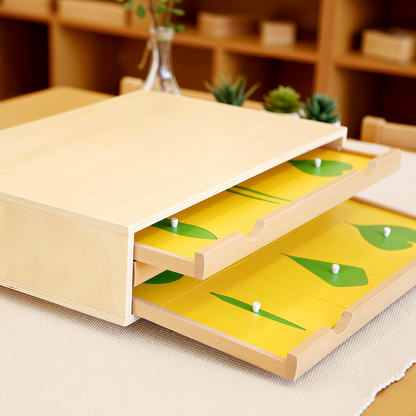Botany Cabinet