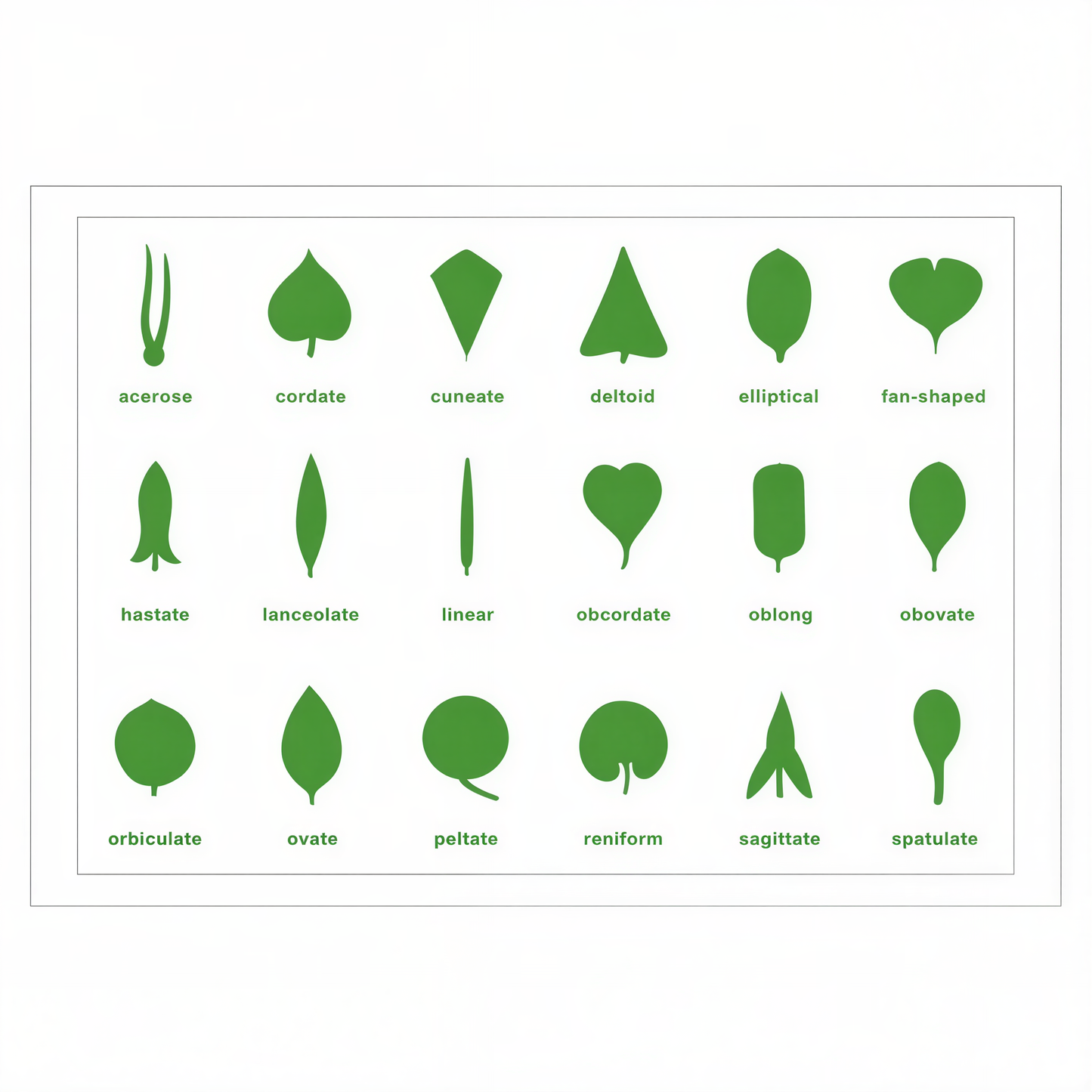 Botany Cabinet Control Chart