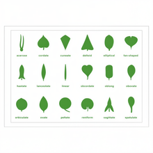 Botany Cabinet Control Chart