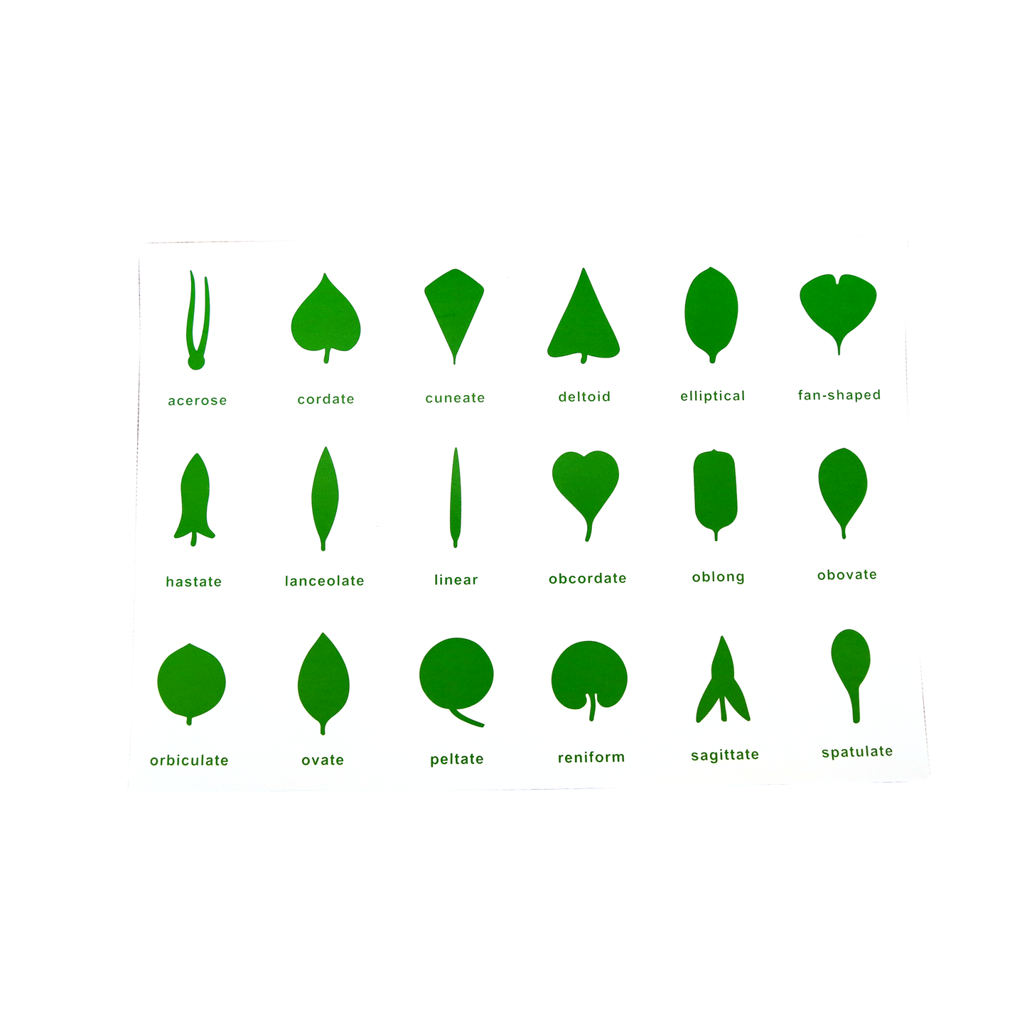 Botany Cabinet Control Chart