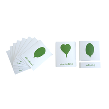Botany Cabinet Nomenclature Cards