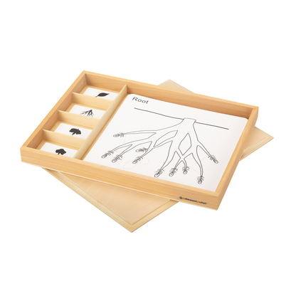 Botany Puzzle Activity Set