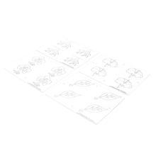 Botany Puzzle: Copy Masters