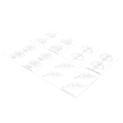 Botany Puzzle: Copy Masters