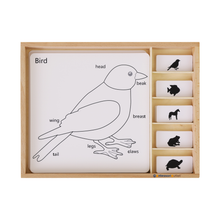 Animal Puzzle Activity Set