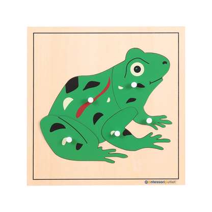 Frog Puzzle