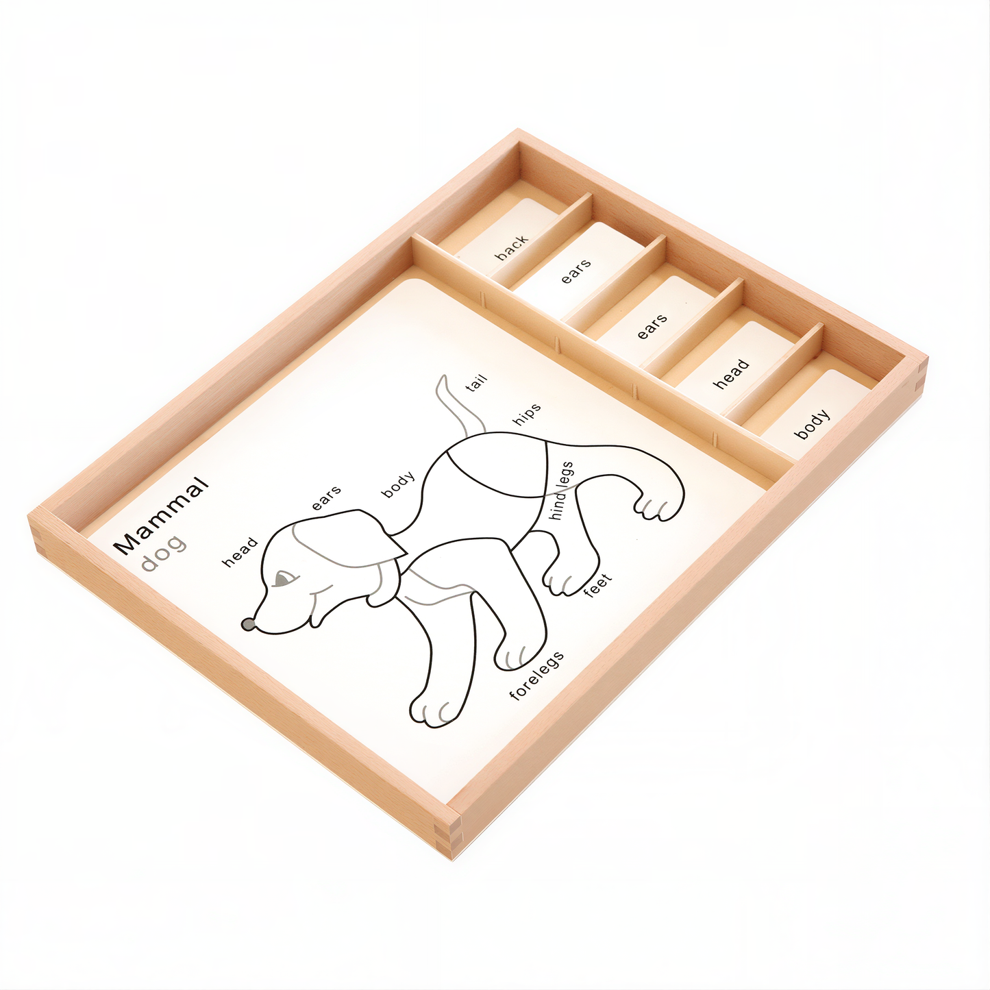 Land Animal Puzzles Activity Set (Part 1)