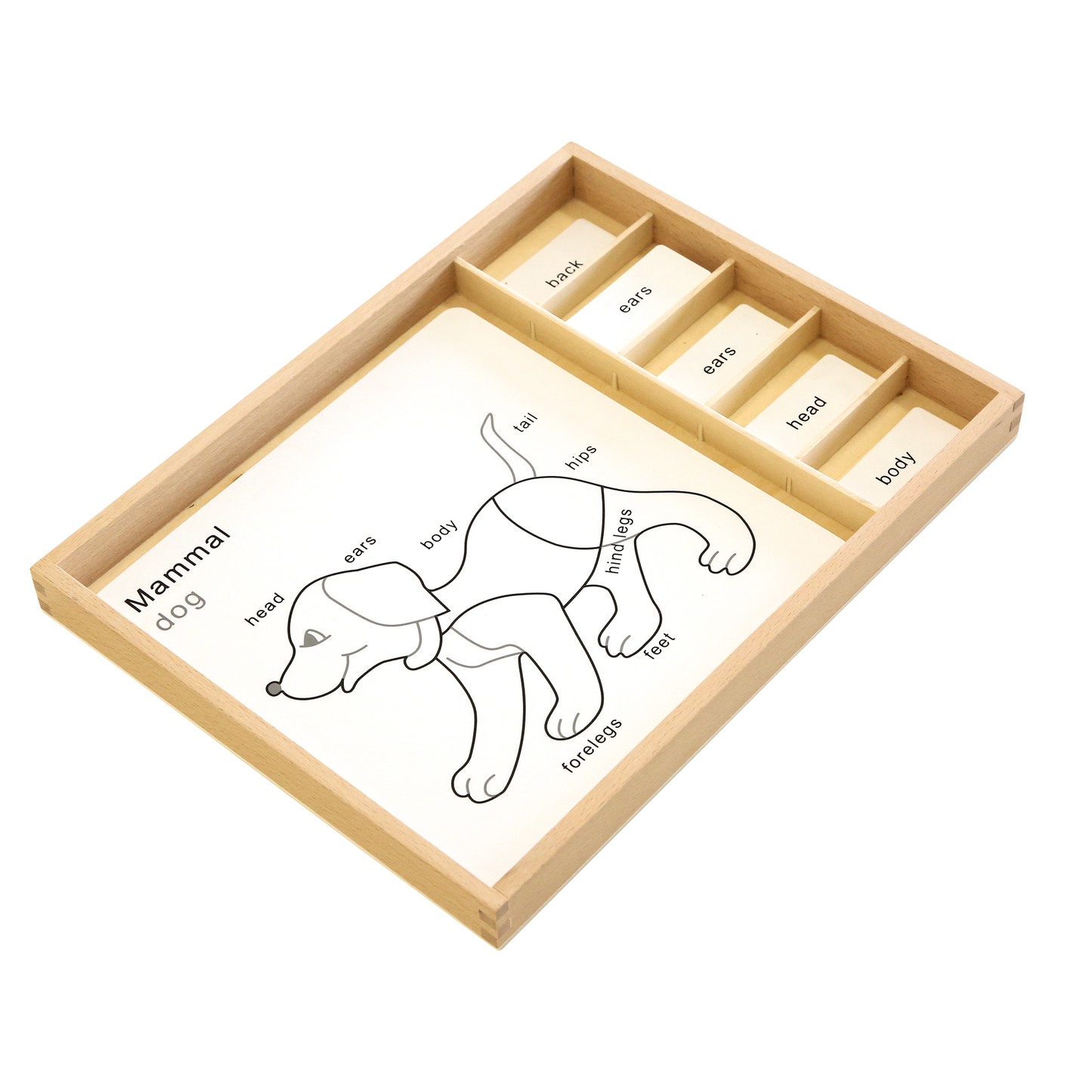 Land Animal Puzzles Activity Set (Part 1)