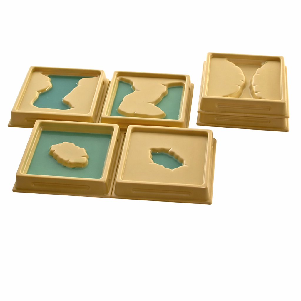 1st Set of Land and Water Form Trays