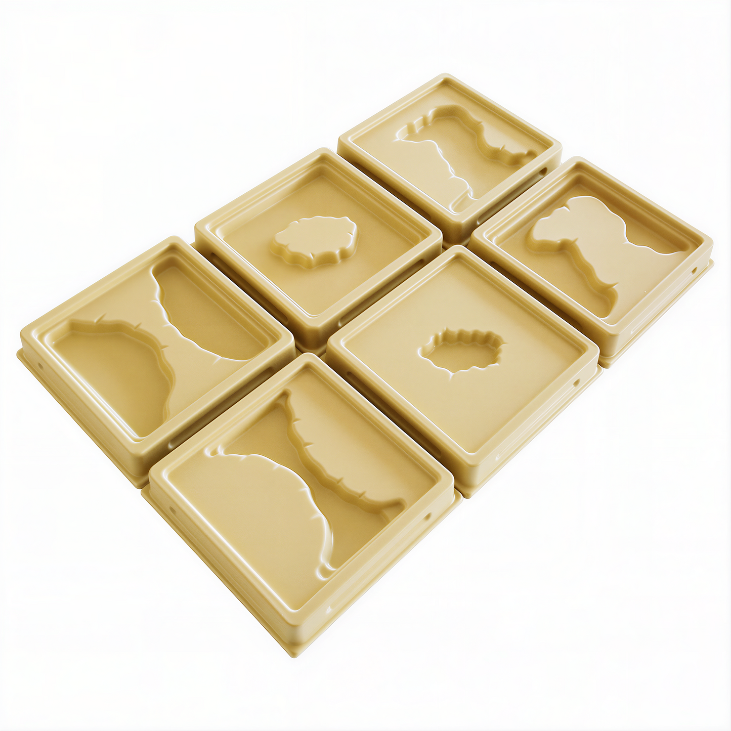 1st Set of Land and Water Form Trays