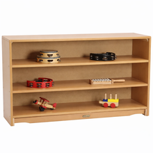 Closed Back Shelf 45" x 28" w/ Two Shelves