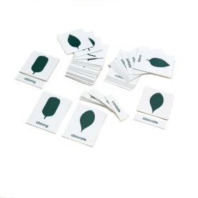 Botany Cabinet Nomenclature Cards