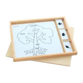 Botany Puzzle Activity Set